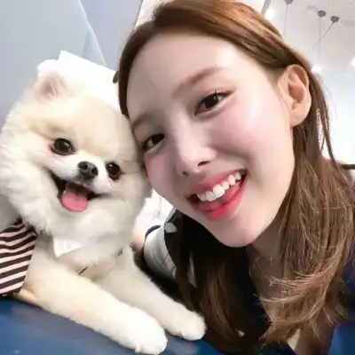 盖菊华
